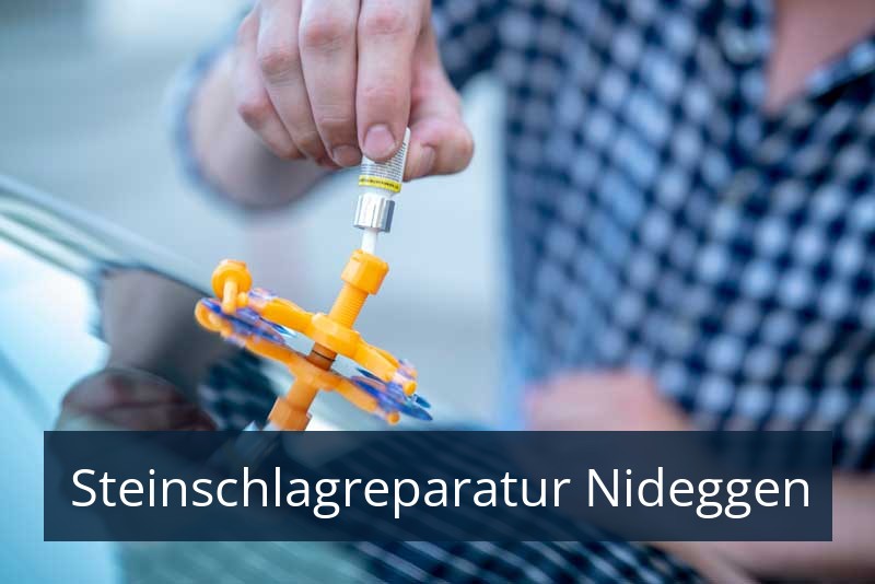 Steinschlagreparatur Nideggen